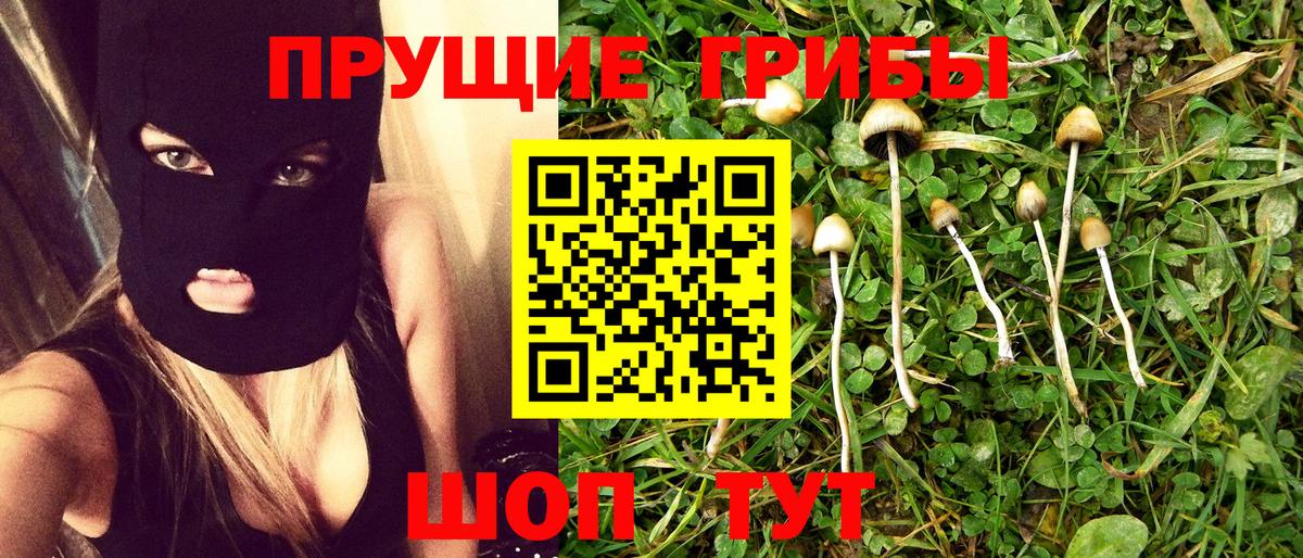 Галлюциногенные грибы мицелий Дивногорск