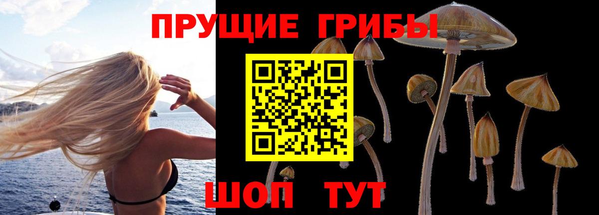 Галлюциногенные грибы Magic Shrooms  наркошоп  Дивногорск  Вход с VPN  Псилоцибиновые грибы MAGIC MUSHROOMS 